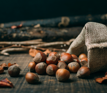 Fındık Hangi Vitaminleri İçerir